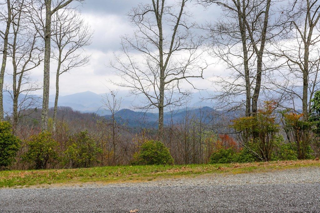 LOT 20 Summit Drive #20, HAYESVILLE, North Carolina image 9