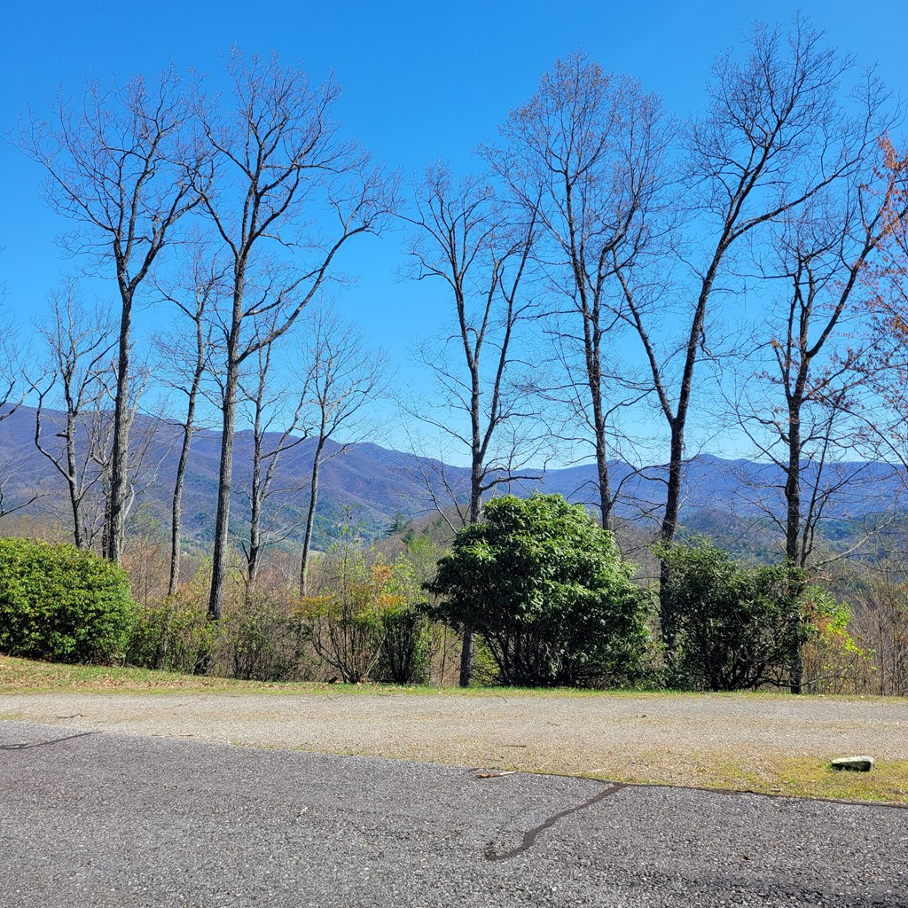 LOT 20 Summit Drive #20, HAYESVILLE, North Carolina image 6