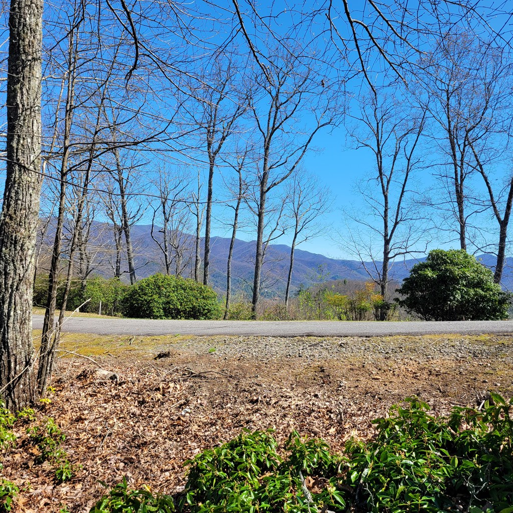 LOT 20 Summit Drive #20, HAYESVILLE, North Carolina image 4