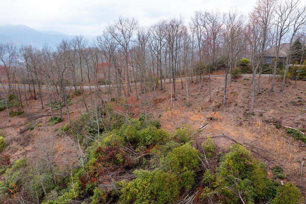 LOT 20 Summit Drive #20, HAYESVILLE, North Carolina image 15