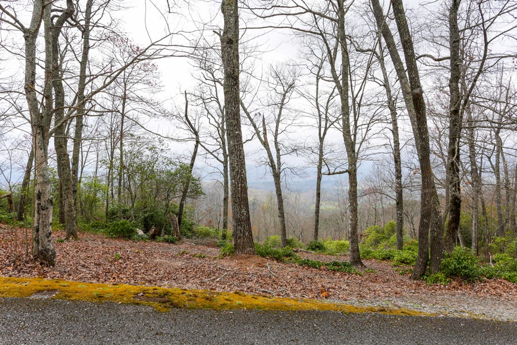 LOT 20 Summit Drive #20, HAYESVILLE, North Carolina image 7