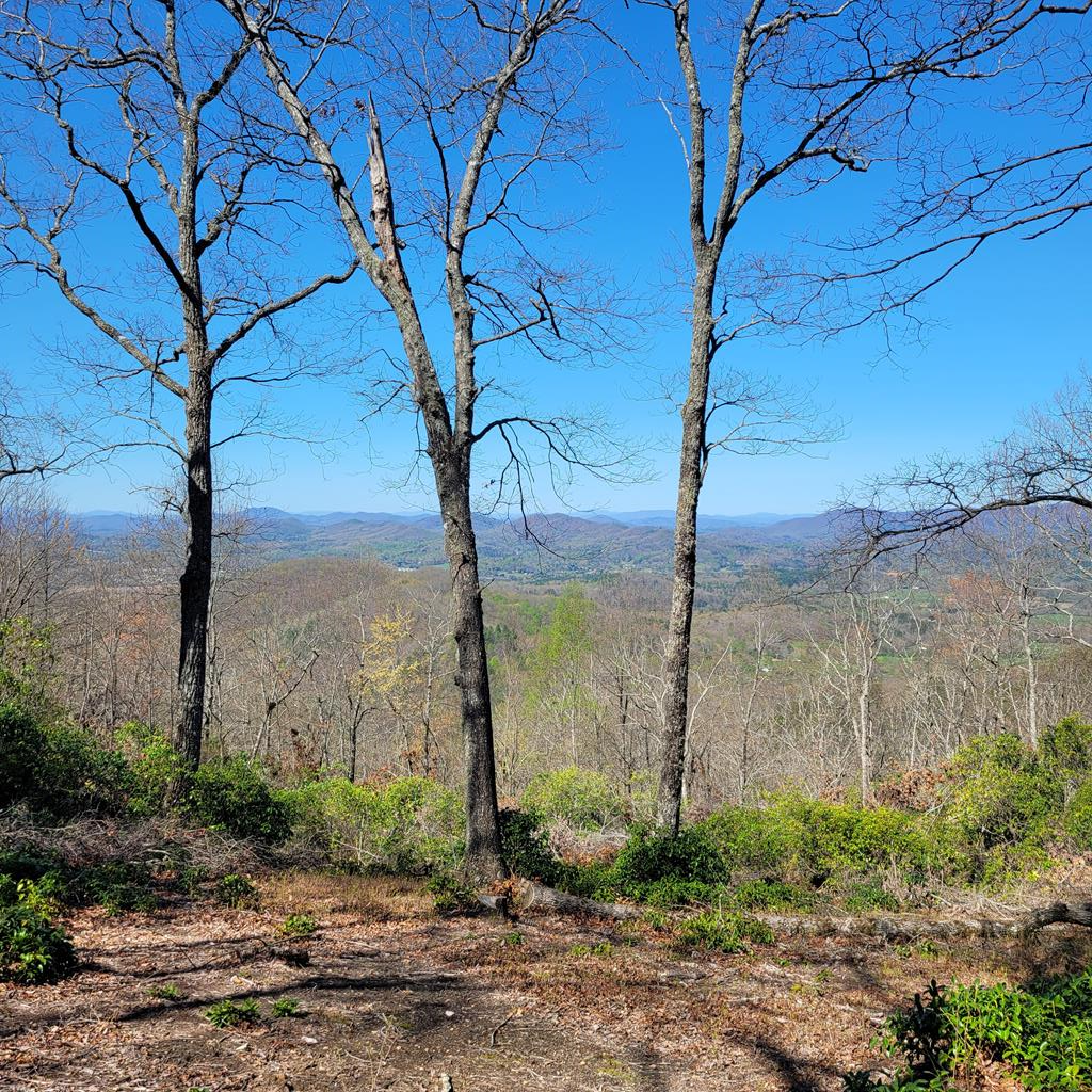 LOT 20 Summit Drive #20, HAYESVILLE, North Carolina image 1