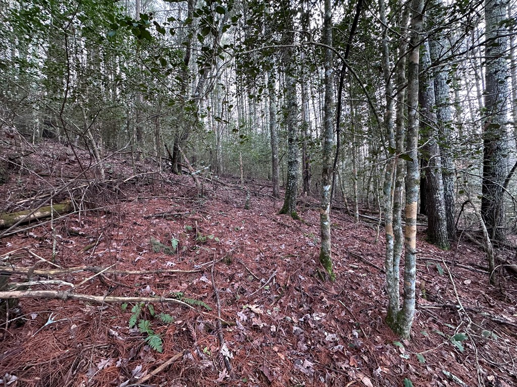 Lot 22 Appalachian Estates, MURPHY, North Carolina image 3