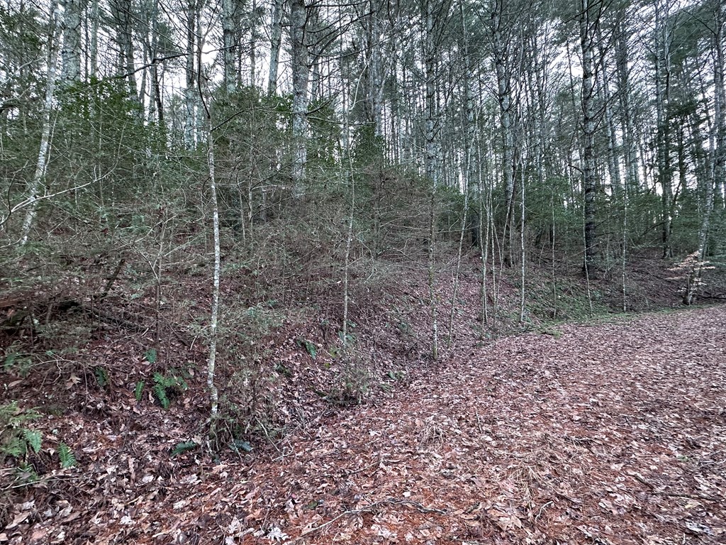 Lot 22 Appalachian Estates, MURPHY, North Carolina image 6