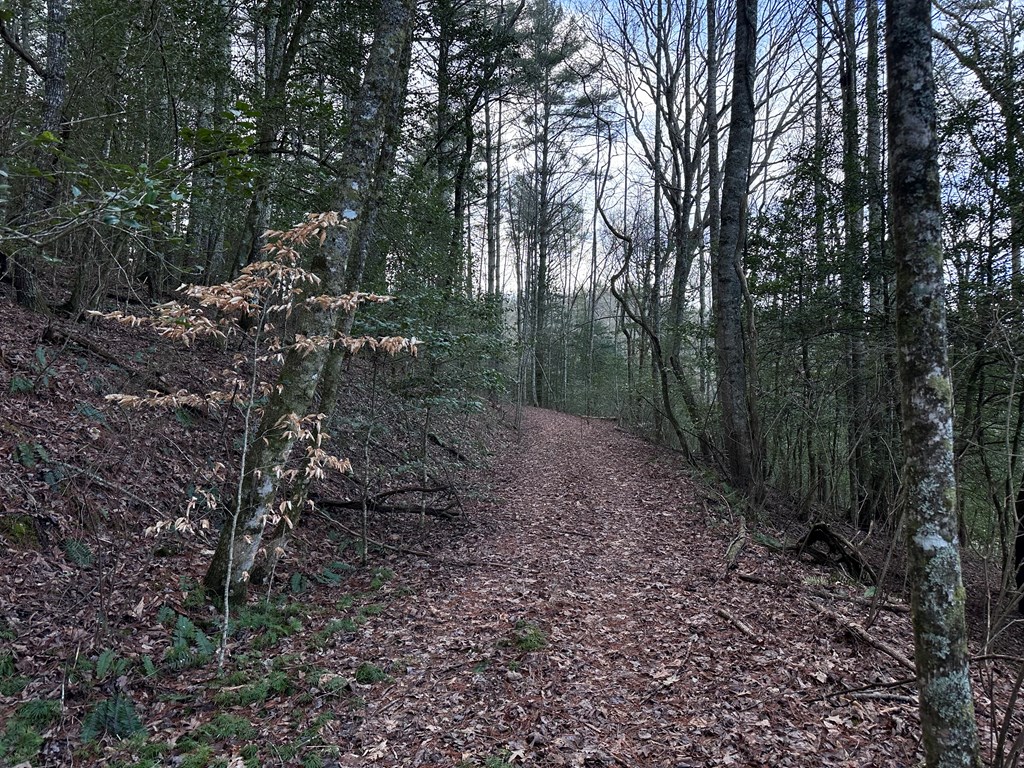 Lot 22 Appalachian Estates, MURPHY, North Carolina image 7