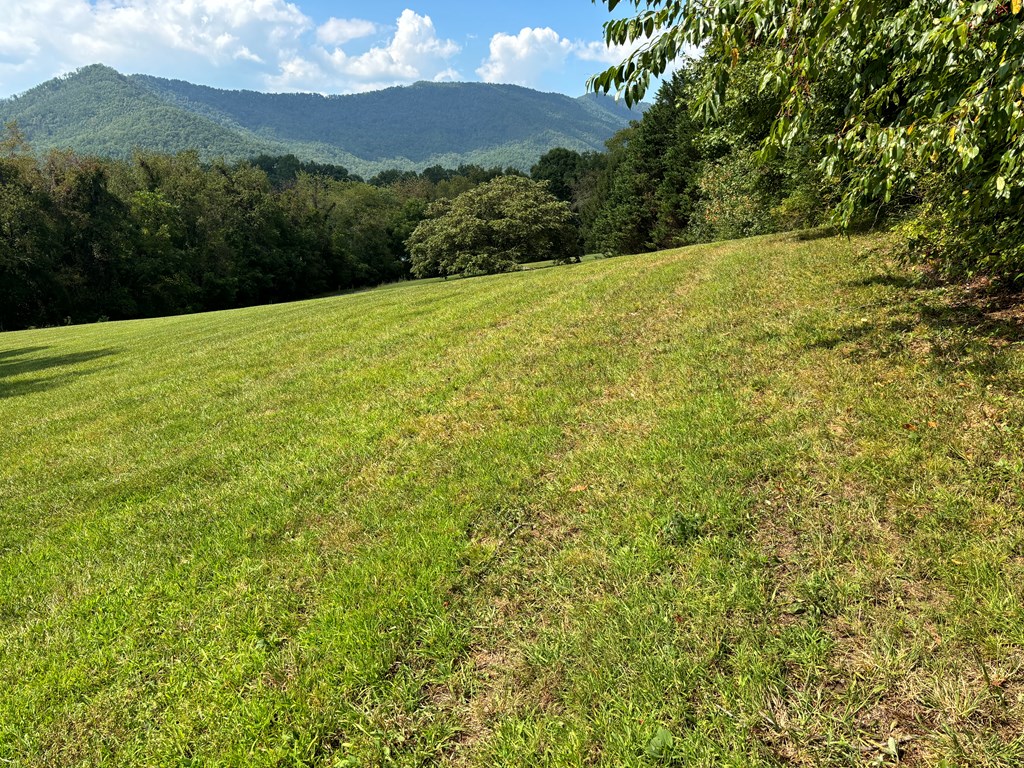 Lot 1 Mission Hill Rd, HAYESVILLE, North Carolina image 5