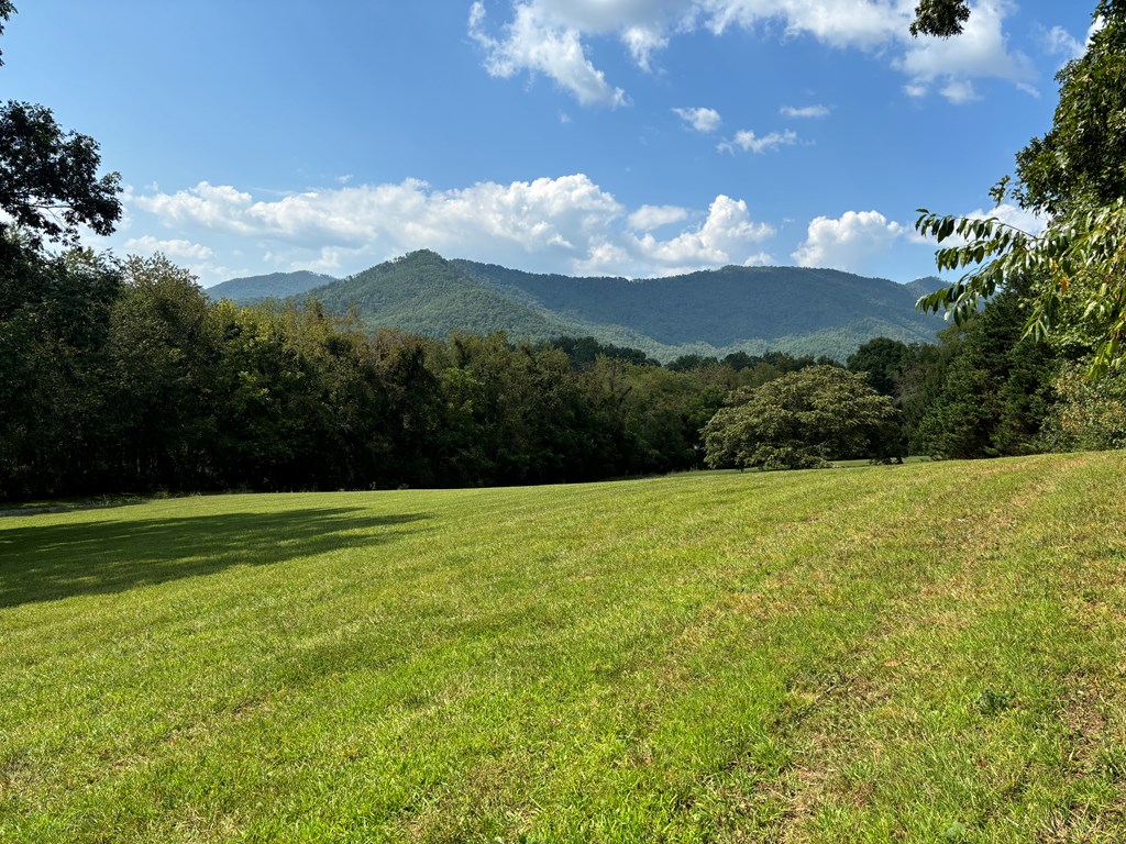 Lot 1 Mission Hill Rd, HAYESVILLE, North Carolina image 4