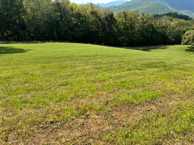 Lot 1 Mission Hill Rd, HAYESVILLE, North Carolina image 15