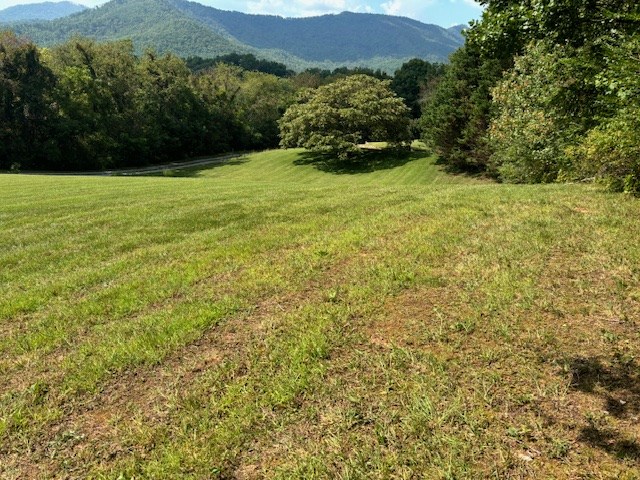 Lot 1 Mission Hill Rd, HAYESVILLE, North Carolina image 17