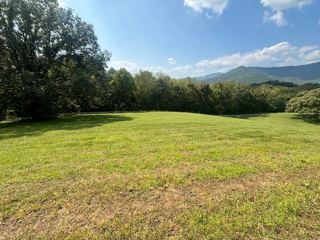 Lot 1 Mission Hill Rd, HAYESVILLE, North Carolina image 19