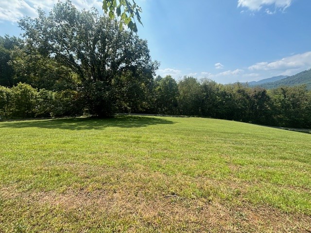 Lot 1 Mission Hill Rd, HAYESVILLE, North Carolina image 18