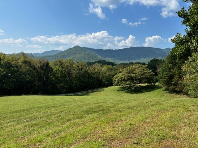 Lot 1 Mission Hill Rd, HAYESVILLE, North Carolina image 14