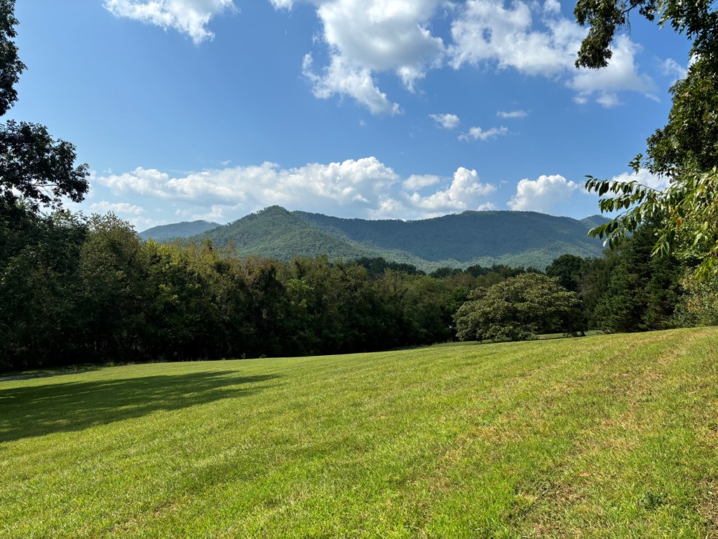 Lot 1 Mission Hill Rd, HAYESVILLE, North Carolina image 3