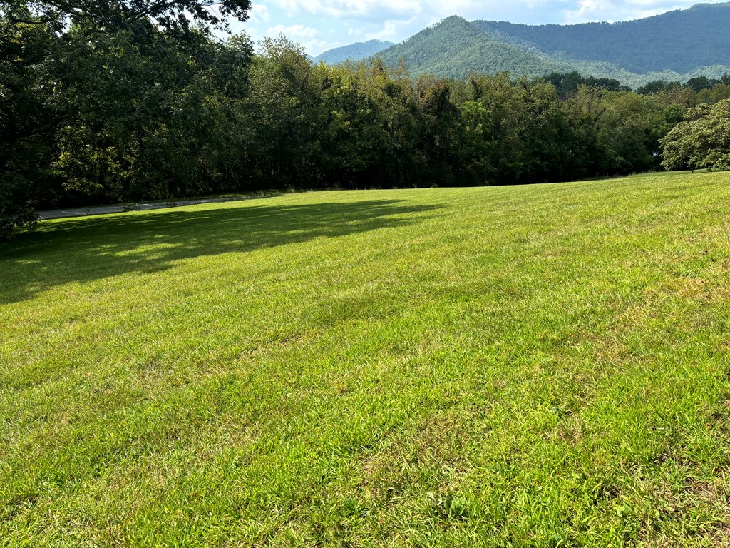 Lot 1 Mission Hill Rd, HAYESVILLE, North Carolina image 6