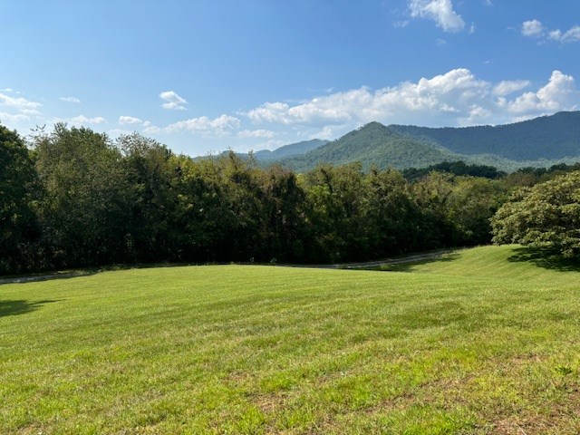 Lot 1 Mission Hill Rd, HAYESVILLE, North Carolina image 16