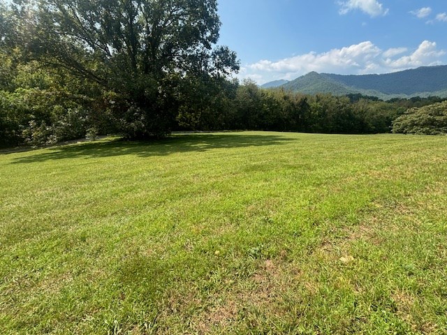 Lot 1 Mission Hill Rd, HAYESVILLE, North Carolina image 12