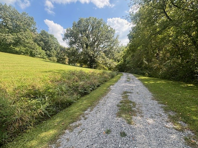 Lot 1 Mission Hill Rd, HAYESVILLE, North Carolina image 8