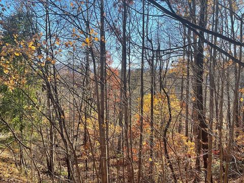 Vacant Land For Sale - LOT 41C Ash Branch Circle #41C<br/> Clay County, HAYESVILLE, NC 28904