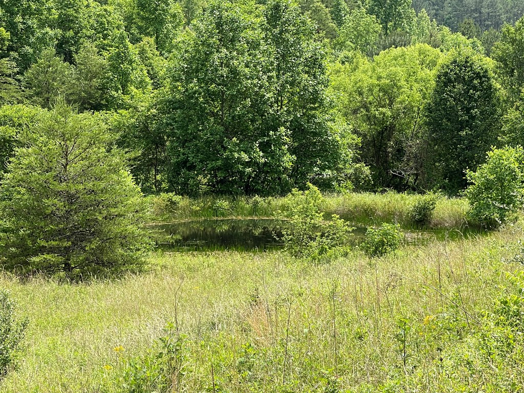 14B Saddle Ridge Farms #14B, WARNE, North Carolina image 22