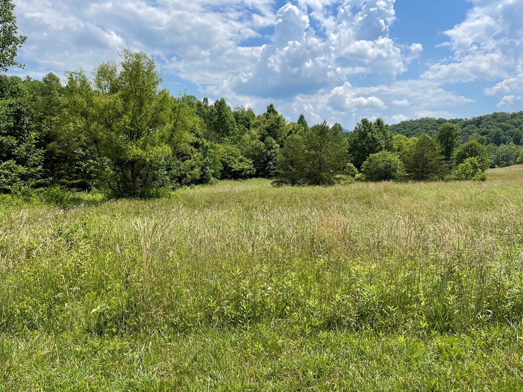 14B Saddle Ridge Farms #14B, WARNE, North Carolina image 18