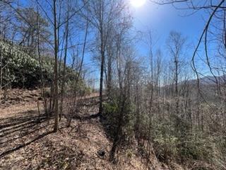 Lot 9 Sunset Vista Trail #9, TOPTON, North Carolina image 1