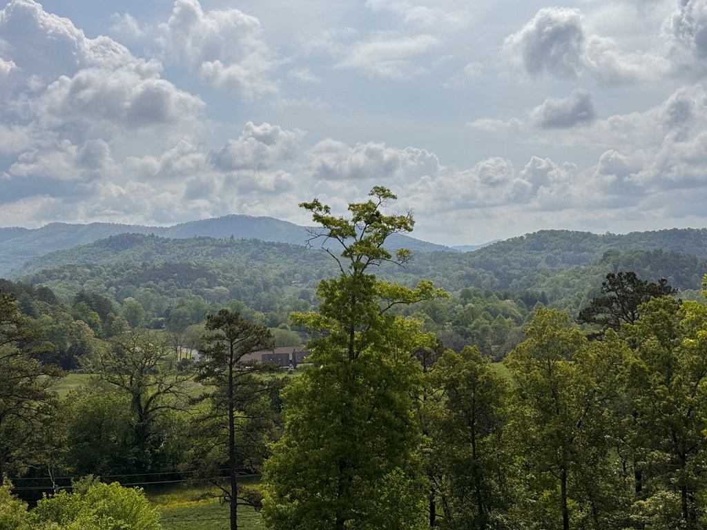 106 Mistletoe Ridge, MURPHY, North Carolina image 8