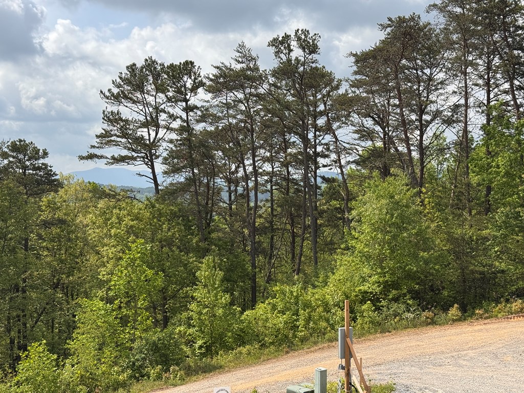 106 Mistletoe Ridge, MURPHY, North Carolina image 11