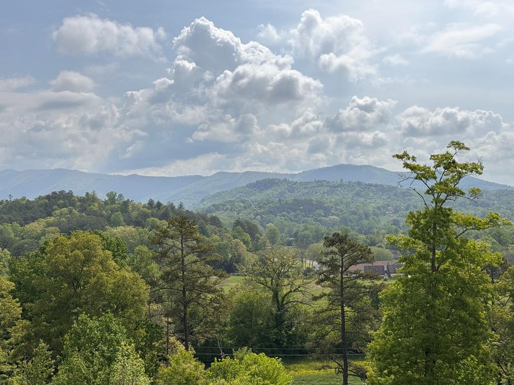 106 Mistletoe Ridge, MURPHY, North Carolina image 1
