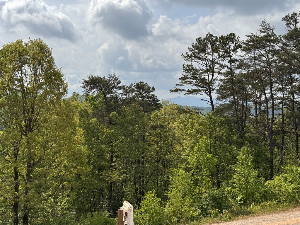 106 Mistletoe Ridge, MURPHY, North Carolina image 10