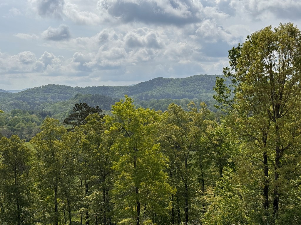 106 Mistletoe Ridge, MURPHY, North Carolina image 9
