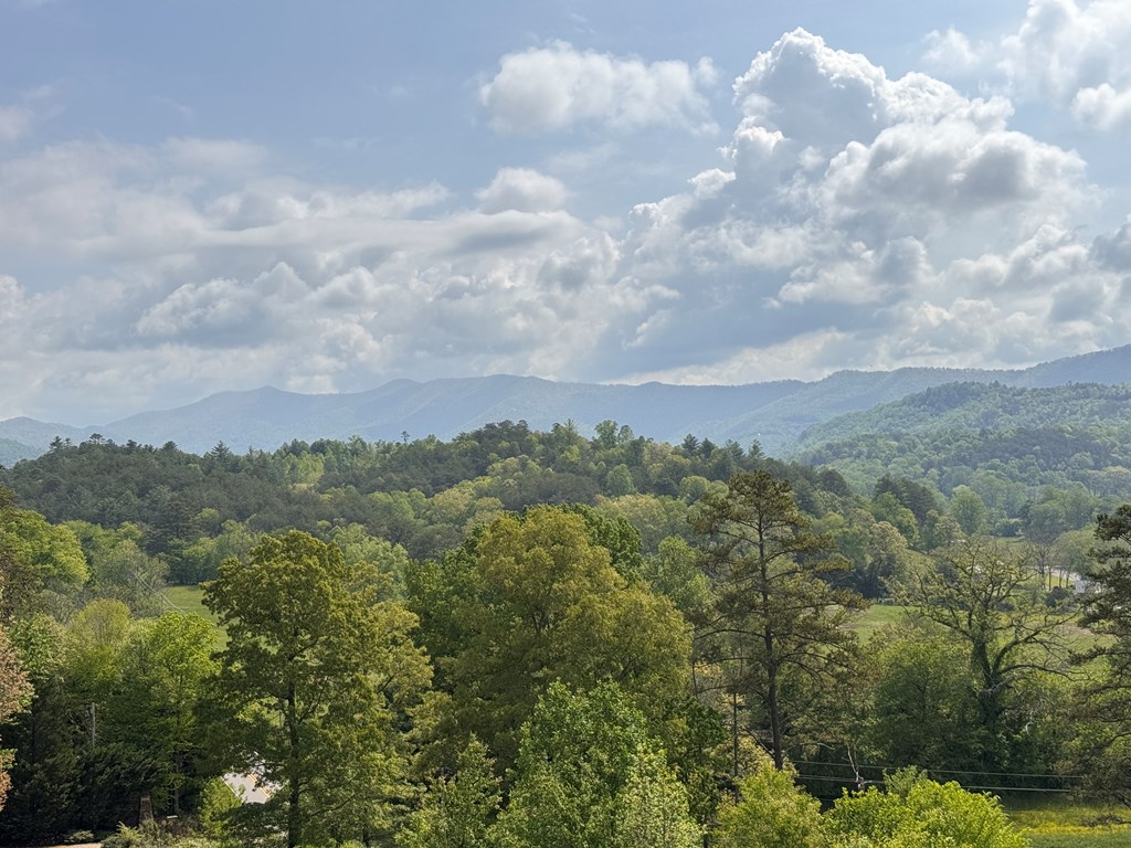 106 Mistletoe Ridge, MURPHY, North Carolina image 7
