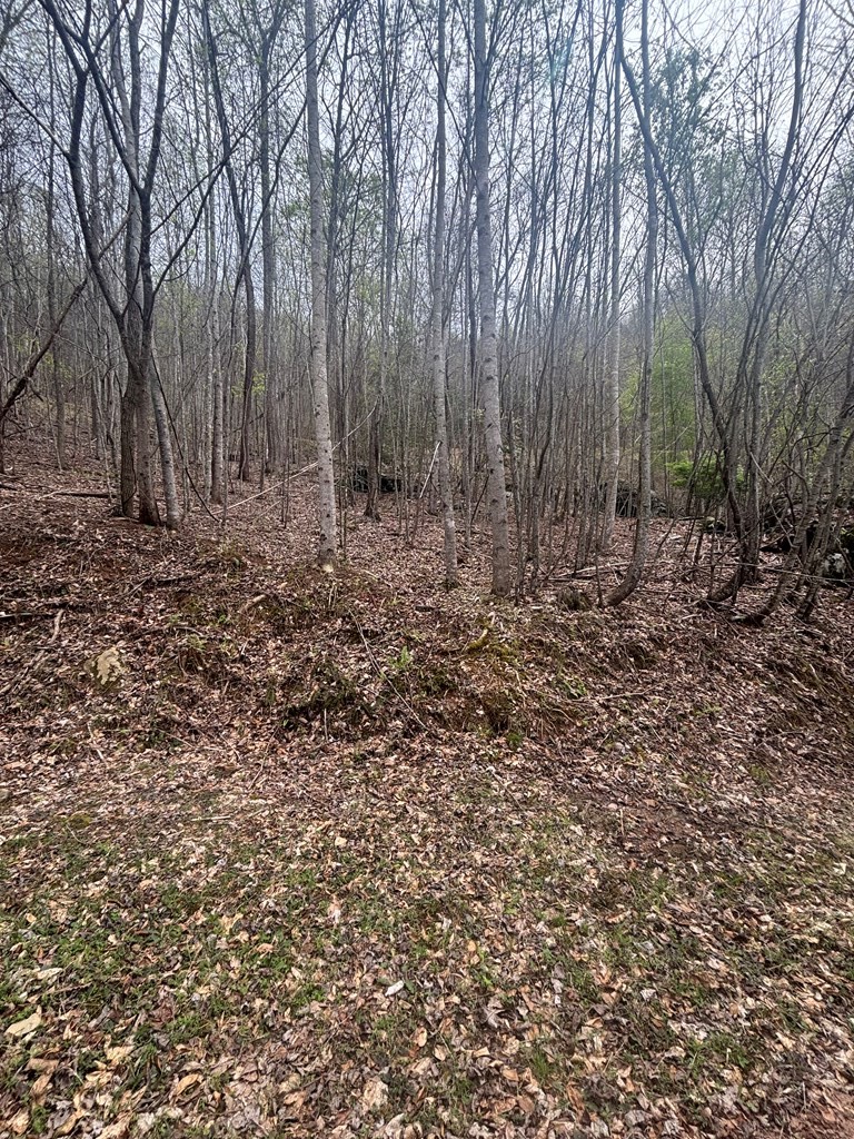 Lot 4 Buck Ridge Dr