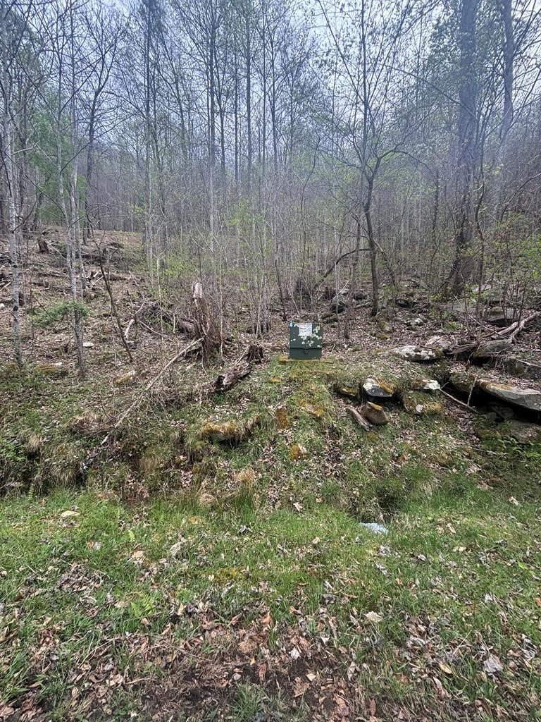 Lot 4 Buck Ridge Dr