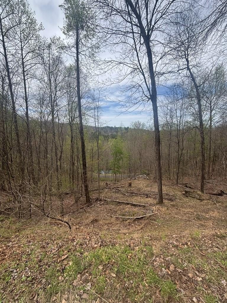 Lot 4 Buck Ridge Dr