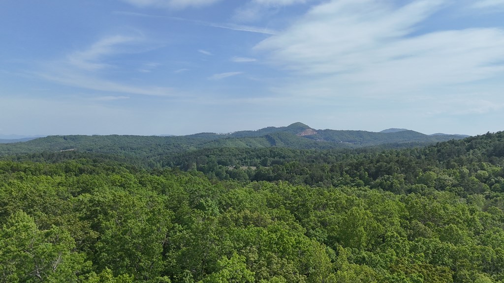 00 Hialeah Way, MURPHY, North Carolina image 5