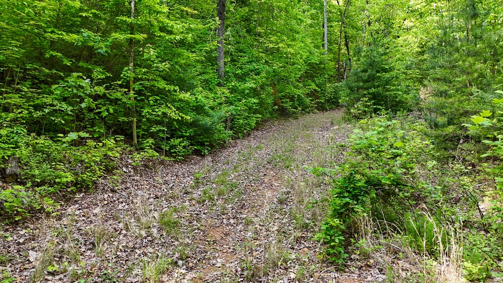 00 Hialeah Way, MURPHY, North Carolina image 4