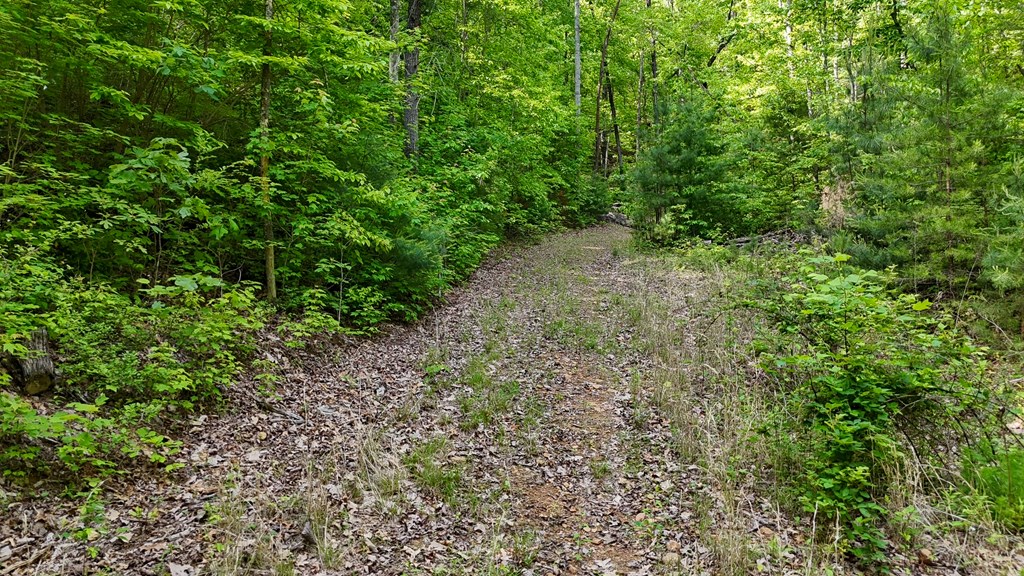00 Hialeah Way, MURPHY, North Carolina image 3