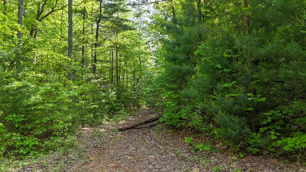 00 Hialeah Way, MURPHY, North Carolina image 2