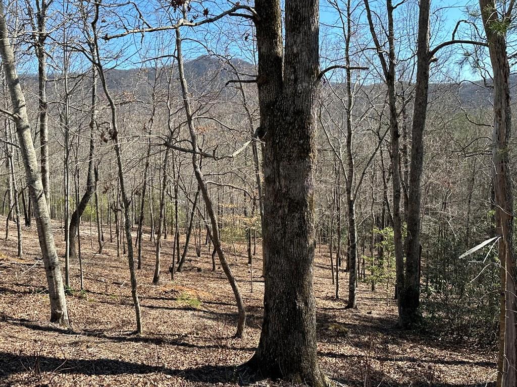 Lot 11 Asheland Cove #11, YOUNG HARRIS, New York image 1
