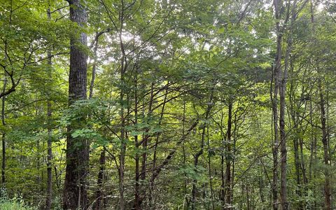 Vacant Land For Sale - LOT 13 The Preserve #13<br/> BRASSTOWN, NC 28902