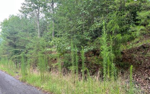 Vacant Land For Sale - LOT 8 The Preserve #8<br/> BRASSTOWN, NC 28902