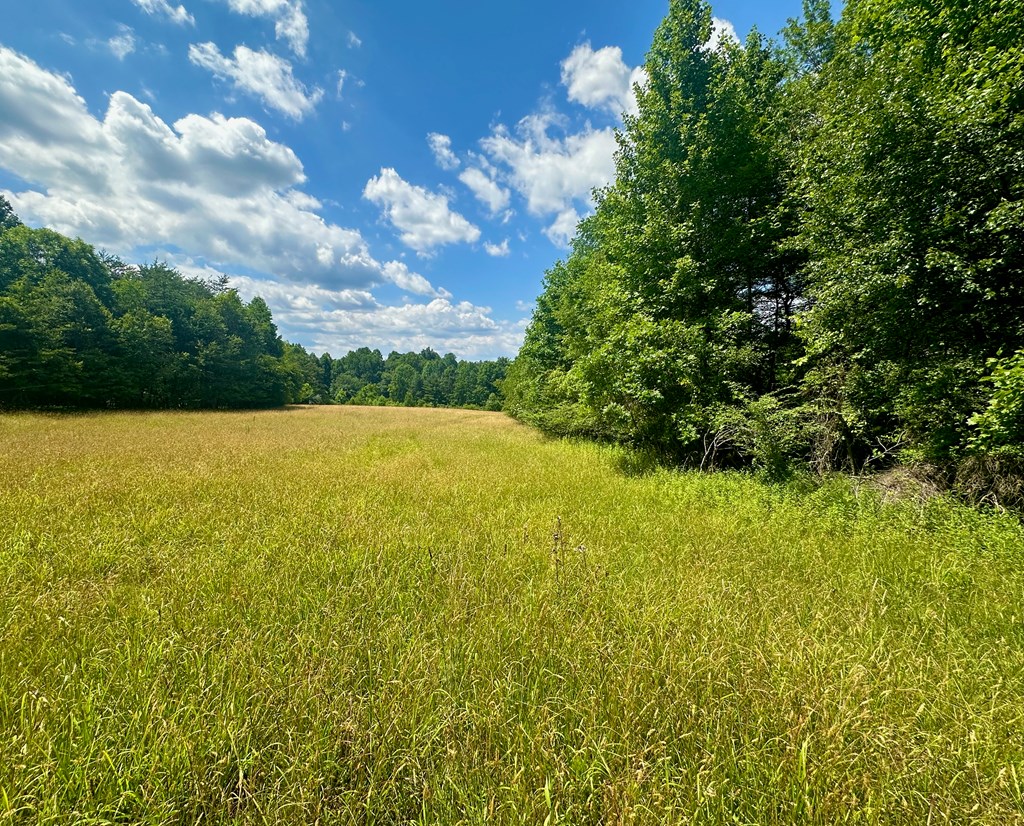 8427 Gum Log Rd, YOUNG HARRIS, Georgia image 22