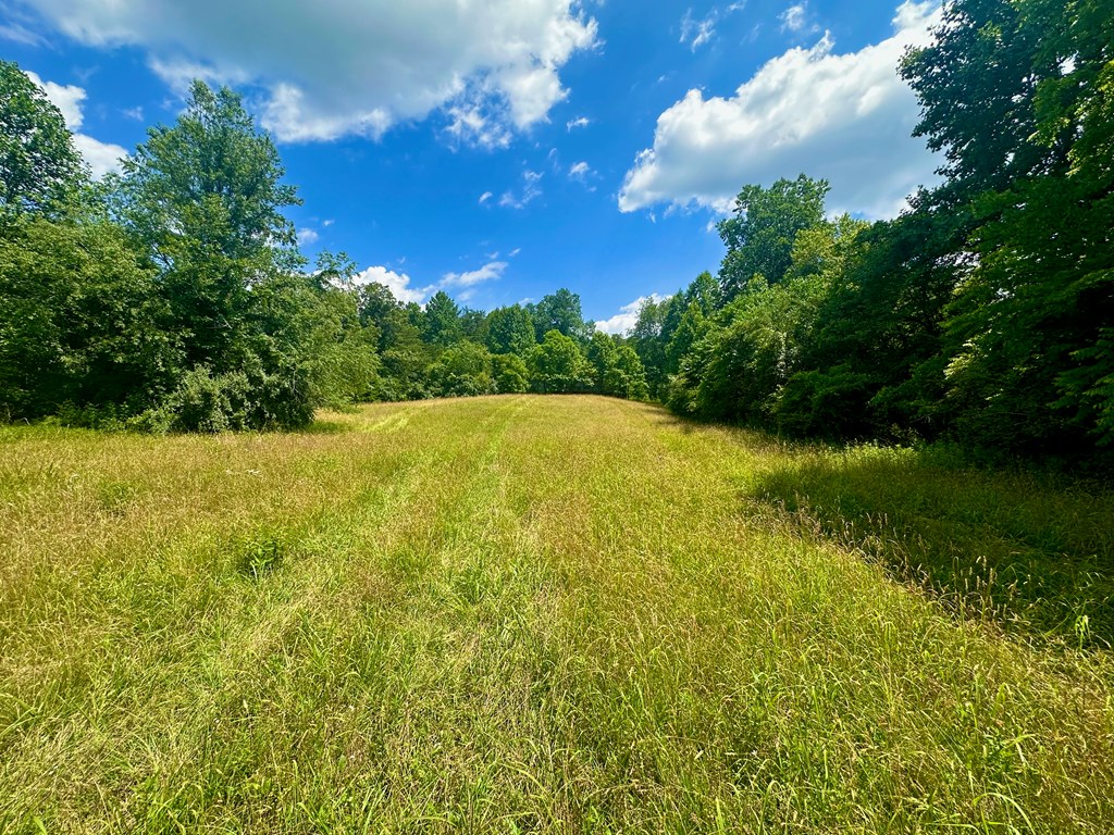 8427 Gum Log Rd, YOUNG HARRIS, Georgia image 24