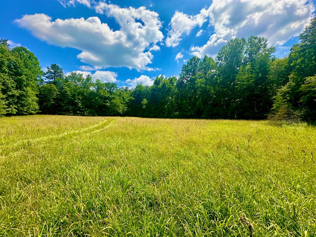 8427 Gum Log Rd, YOUNG HARRIS, Georgia image 18