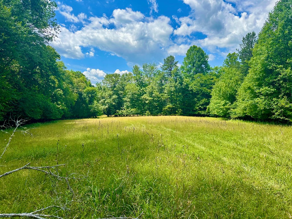 8427 Gum Log Rd, YOUNG HARRIS, Georgia image 3