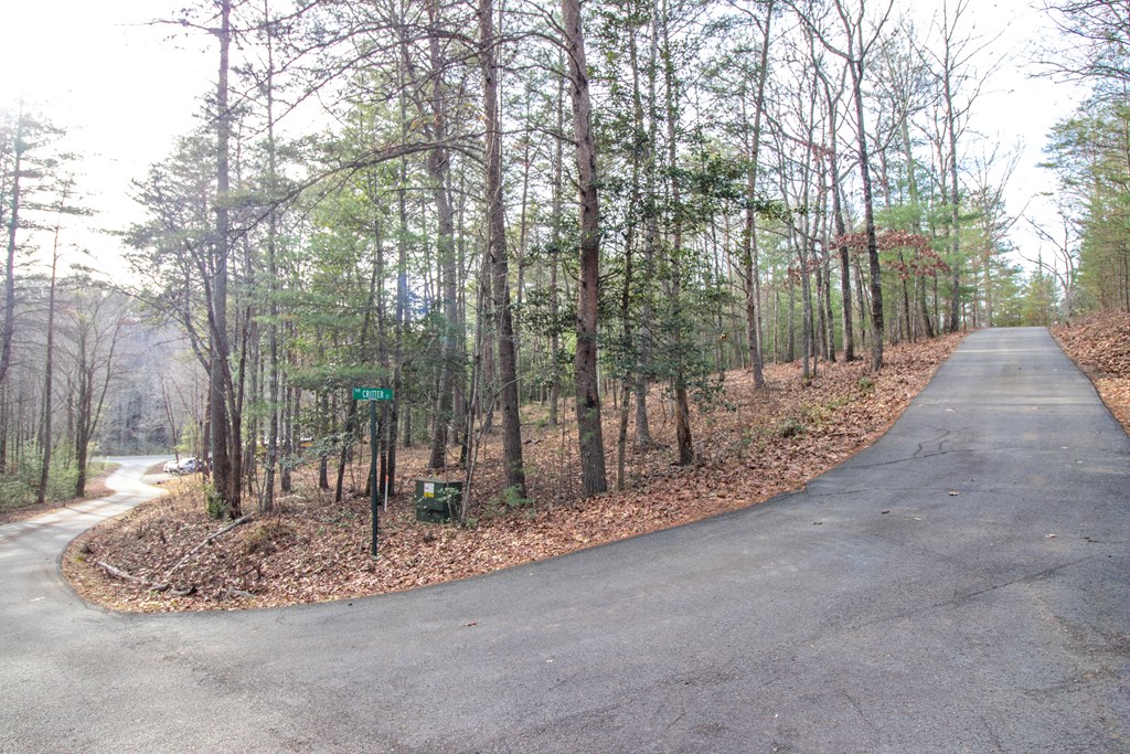 14 Kennelly Loop #14, MURPHY, North Carolina image 2