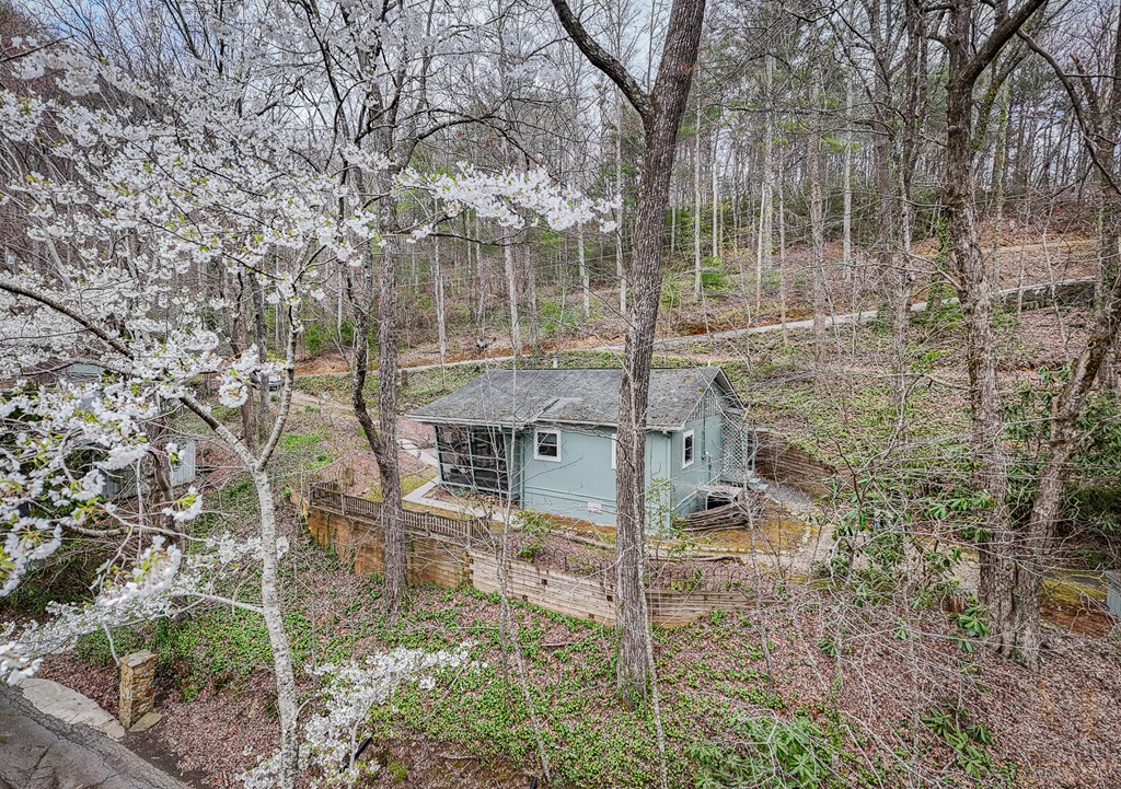 53 Nantahala Trail, ROBBINSVILLE, North Carolina image 10