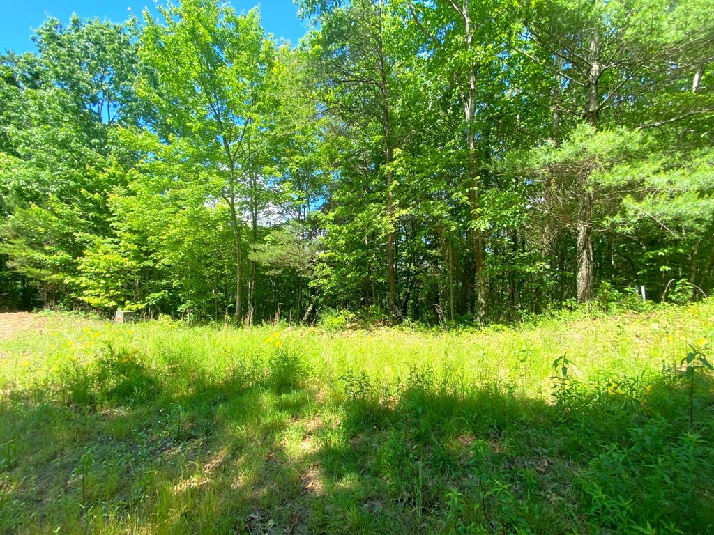 Lot 97 Choctaw Ridge Trl #97, MURPHY, North Carolina image 2