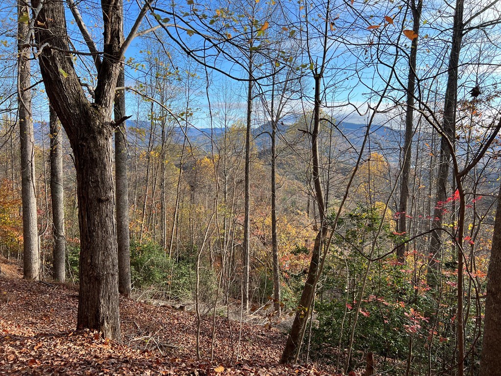 Tr 1 Hidden Summit #33, HIAWASSEE, Georgia image 10