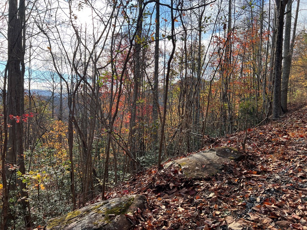 Tr 1 Hidden Summit #33, HIAWASSEE, Georgia image 7